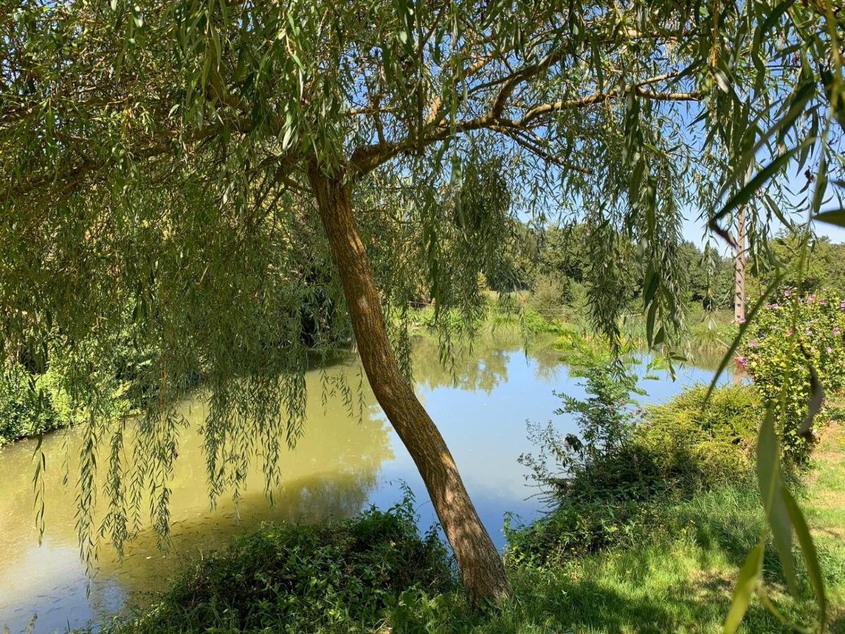La Maison Rouzies La Bastide-l'Eveque Esterno foto